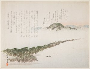 Vue d